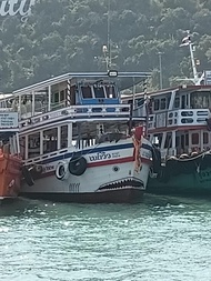 海景私人魷魚垂釣包船 (เบย์วิว ตกหมึกเหมาลำ)