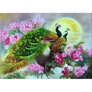 Empty Picture Size 16 20 Inches/41 Cm.