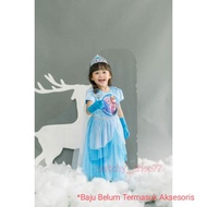 Frozen Elsa Kids Dress / Frozen Elsa Costume / Children's Birthday Dress CO3