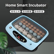 6-36 Eggs Automatic Intelligent Incubator Small-sized Chicken Duck  Goose Egg Incubator Tools With Light Alarm inkubator