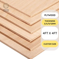 Plywood 3mm/5mm/9mm/12mm thickness 4FT X 4FT board sheet papan kayu Grade A custom cut