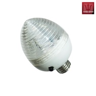 STROBE BULB TRANSPARENT 1W 9960