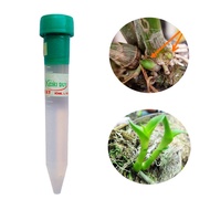 Keiki Duy Xanh Stimulates Orchid Sprouts and Buds in Spray Form