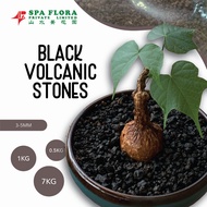 BLACK VOLCANIC STONES 3-5MM