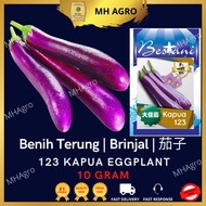 BESTANI E112 Benih Terung Panjang KAPUA Long Brinjal Seeds 123 10Gram/2250seed 茄子 种子 Eggplant Seed M