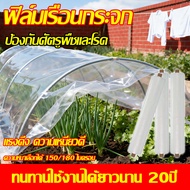 พลาสติกโรงเรือน พลาสติกใส พลาสติกPE หนา 150/180 ไมครอน โรงเรือน โรงเรือนเพาะชำ พลาสติกคลุมโรงเรือน พ