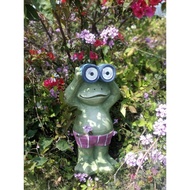 Solar Frog Light Outdoor Courtyard Animal Decoration Decorative Light Outdoor Waterproof Garden Landscape Decoration Night Light