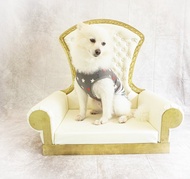 英式狗沙發，坐感極佳 狗床狗窩 狗貓 可訂購