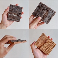 เปลือกไม้ ไม้คอร์ก Cork Bark จากธรรมชาติตกแต่งตู้เลี้ยงสัตว์ สำหรับ กบ​ งู​​ ตะขาบ​​ เก๊กโค​ แมงมุม 