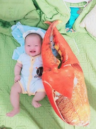 GẤU BÔNG CÀNG CUA SIZE LỚN GỐI ÔM CÀNG CUA GỐI ÔM 3D CHO BÉ VẢI NHUNG MỊN 100% GÒN MỀM MỊN GIÁ RẺ