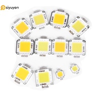 Si 1pc cob led light dc led bulb chip on board 10W 20W 30W 50W 70W 100W 2 colors yan