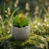 1pc Mini Artificial Succulent Plant In Cement Pot, Real Touch Fake Succulents Bonsai Desk Decor, No 