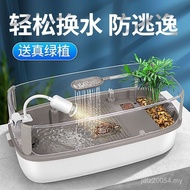 Turtle Pot Zhao Zhi Ecological Household Household ZUES