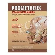 ATLAS PROMETHEUS NECK HEAD EDITION 5 - ORIGINAL