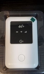 全球頻段 通用型 4G sim卡 router wifi蛋