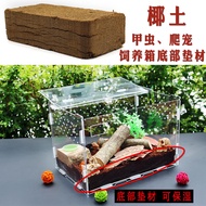 Beetle Reptile Pet Adult Breeding Box Bedding Material