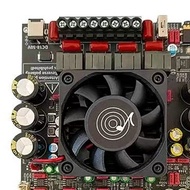 【 LCG5】-AS21P Bluetooth 5.1 Digital Power Amplifier Board 2.1 Channel TPA3255 DC 18-50V for Subwoofe