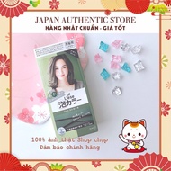 [Japan Standard Commitment] Kao Liese Prettia Foam Hair Color Number 22