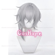 HSR Moze Cosplay Wig 40cm Short Hair Gray Wig Cosplay Anime Cosplay Wigs Heat Resistant Synthetic Wi