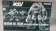 Bandai HG MSV MSM-08 Zogok 模型
