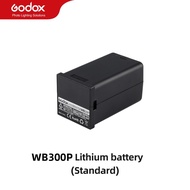 Godox BD-10 Barn Door SN-04 Snoot AD-R14 AD-R12 Standard Reflector AD-AB WB300P Battery Accessories 