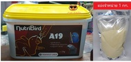 อาหารนกลูกป้อน สูตร นกสายพันธ์ใหญ่ ที่ต้องการไขมันเยอะกว่า Nutribird A19 (แบ่งขาย 1000 กรัม) บรรจุถุ