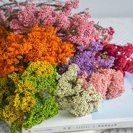 Preserved Rice Flowers Dried Flowers Preserved Flowers Xiaomi Flowers Aromatherapy Floating Flowers 