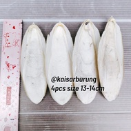 4pcs sizs 13-14cm Cuttlefish Bone Calcium Squid Shell Cuttlefish Bone Natural Nutrition Export Quali