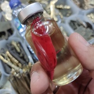 minyak kembang kantil asli warna merah