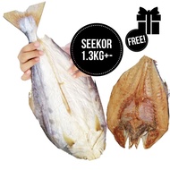 Ikan Talang Masin Kering (1 Ekor) 1.3kg+- Tanjung Dawai Ready Stock Free Gift