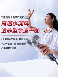 Xiaomi MiJia High-Speed Water Ion Blowing Machine H701 For Home Negative Ion Hair Care Strong Wind S