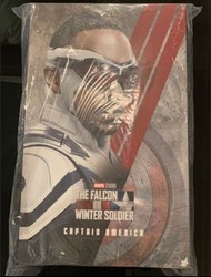 Hottoys Captain America Falcon TMS040