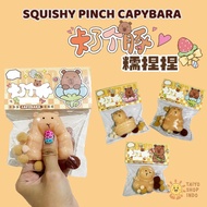Taiyo Children's Toys Taba Squishy Pinch Capybara Squeeze Soft Cute Animals
