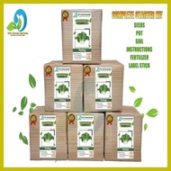 ∆ ◄ ✎ PECHAY GROWING KIT - READY TO USE/COMPLETE PACKAGE/POT/SOIL/SEEDS/FERTILIZER/MANUAL/LABEL STI