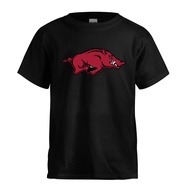 NCAA Arkansas Razorbacks Logo T-Shirt Performance
