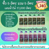 โปร 6 แถม 6 Cabmax แคลเซียมและโบรอนเข้มข้น + Vamax ธาตุอาหารรวมเข้มข้น