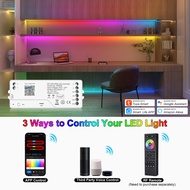 RGBIC LED Controller Tuya Wifi Addressable LED Dimmer SPI LED Controller Alexa Google Assistant
