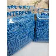 PUPUK NPK 16 16 INTERFLOR KEMASAN 500 GRAM