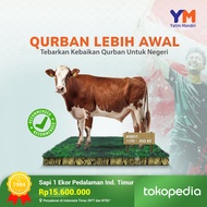 YATIM MANDIRI - QURBAN SAPI 1 EKOR UNTUK PEDALAMAN INDONESIA TIMUR ±200 Kg
