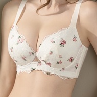 B-J European American Large-Size Underwear Women Gathering Push-Up Breasts Anti-Dropping Steel Ring 