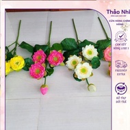 Lotus soup 3 flowers 1 thai lotus bud Home Decor Decorations