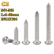 CZ Brand Self - Tapping Screws in Malaysia, Available in Different Lengths from 6mm to 60mm, M2 - M6