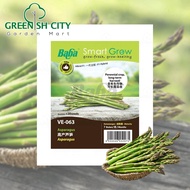 GNC - Baba VE-063 Smart Grow F1 Asparagus Seed Biji Benih 高产芦笋
