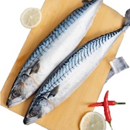 【帥哥魚海鮮】挪威整尾鯖魚8尾組(單尾600~650g)