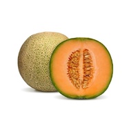 10pcs  sweet musk melon: ROCK Melon easy to plant and potted friendly(newd frame)