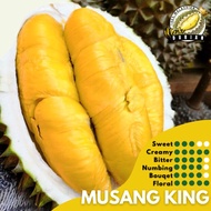 Durian D197 Musang King GRADE A Durian Farm Fresh From Raub (KL & SELANGOR ONLY)