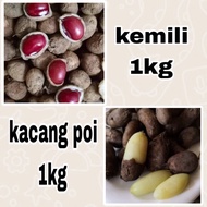 KACANG POI / KEMILI 1KG MURAH NEW STOCK / UBI KELING