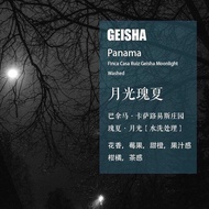 Panama Casa Louis Manor Moonlight Geisha Geisha Washed Coffee Beans Hand Brewed Single Origin Coffee