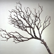 Peacock Coral Branch with Skin Tree Branch White Branch Dry Branch Trunk Ornamental Branch Wishing T
