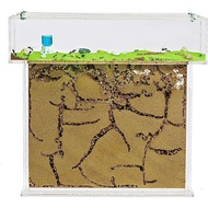 Ant tank Single-sided sand tank for ant farming, Ant tank, sand tank, ant house, ant nest, soil tank